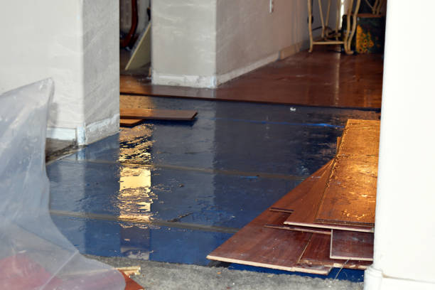 Professional Emergency Water Damage Restoration technician working in Grimsley, TN